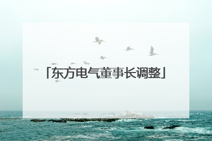 东方电气董事长调整
